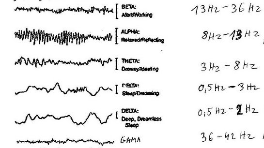 Copy (2) of img062.jpg, 44 KB