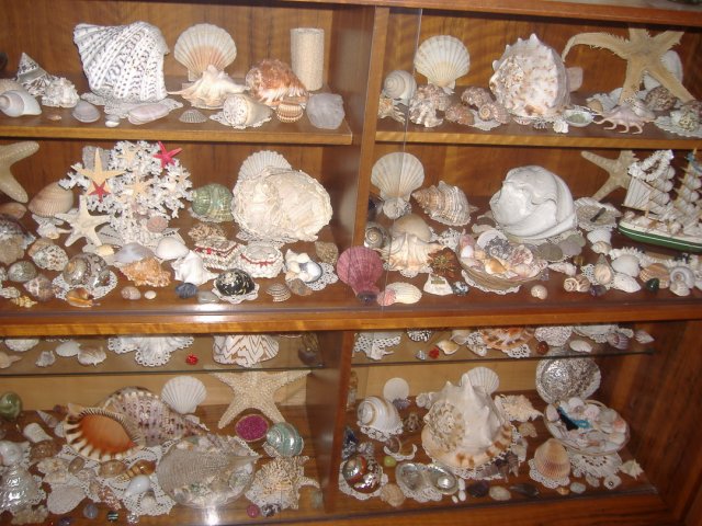 DSCF0988.jpg, 417 KB